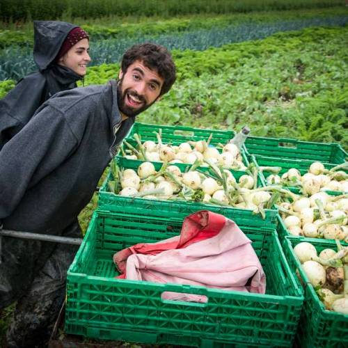 Aprire un’azienda agricola: 5 passi obbligatori da compiere!