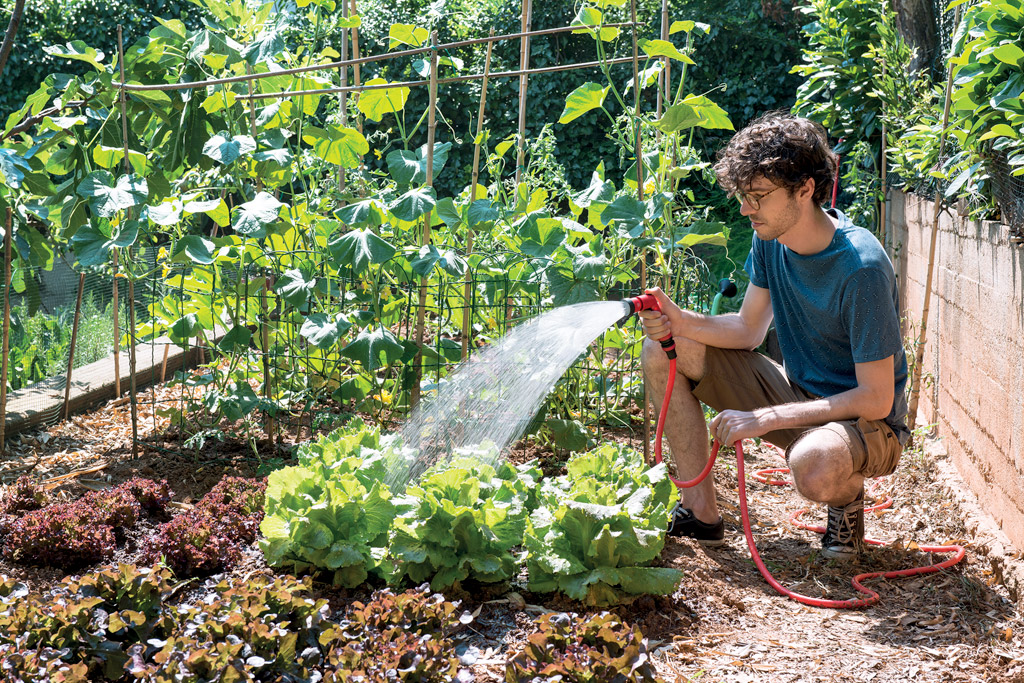 Come distribuire l'acqua nell'orto?