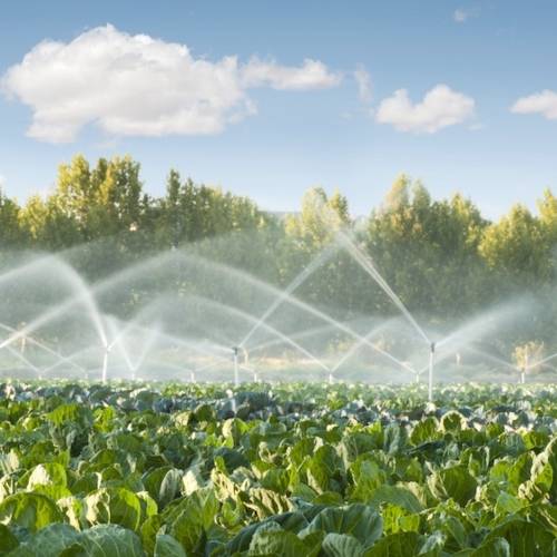 Eccessiva salinità dell’acqua di irrigazione: COSA FARE?