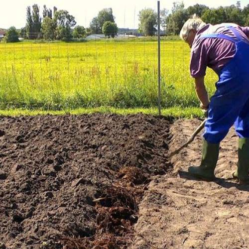 Vangatura del suolo. Prepariamo il terreno per l’inverno