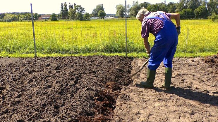 Vangatura del suolo. Prepariamo il terreno per l'inverno - AGRICOLTURA365