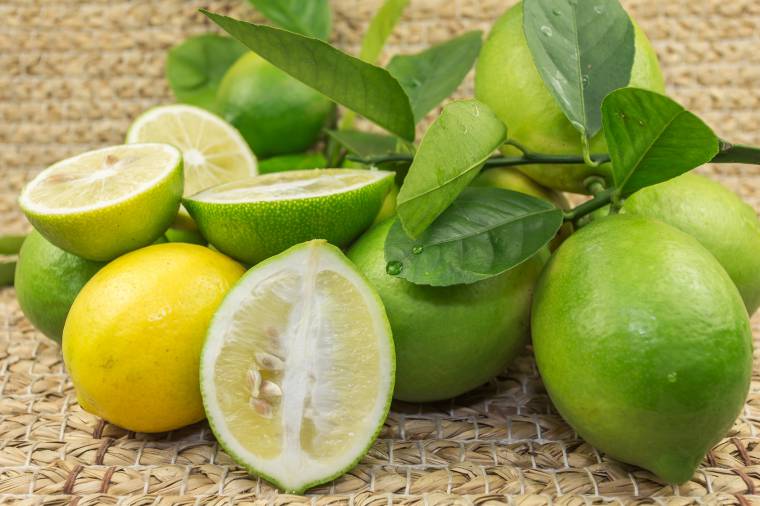 Varietà di limoni: limone verdello